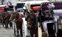 Teenager Dies After Being Thrown From Horse-Drawn Carriage in NYC’s Central Park
