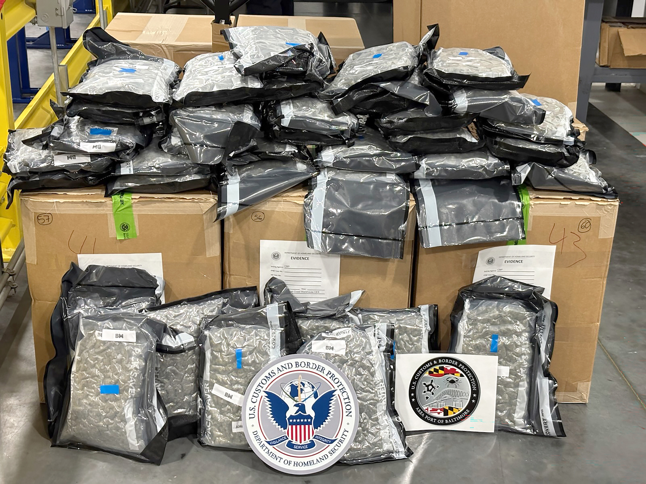 Baltimore Marijuana Seizure