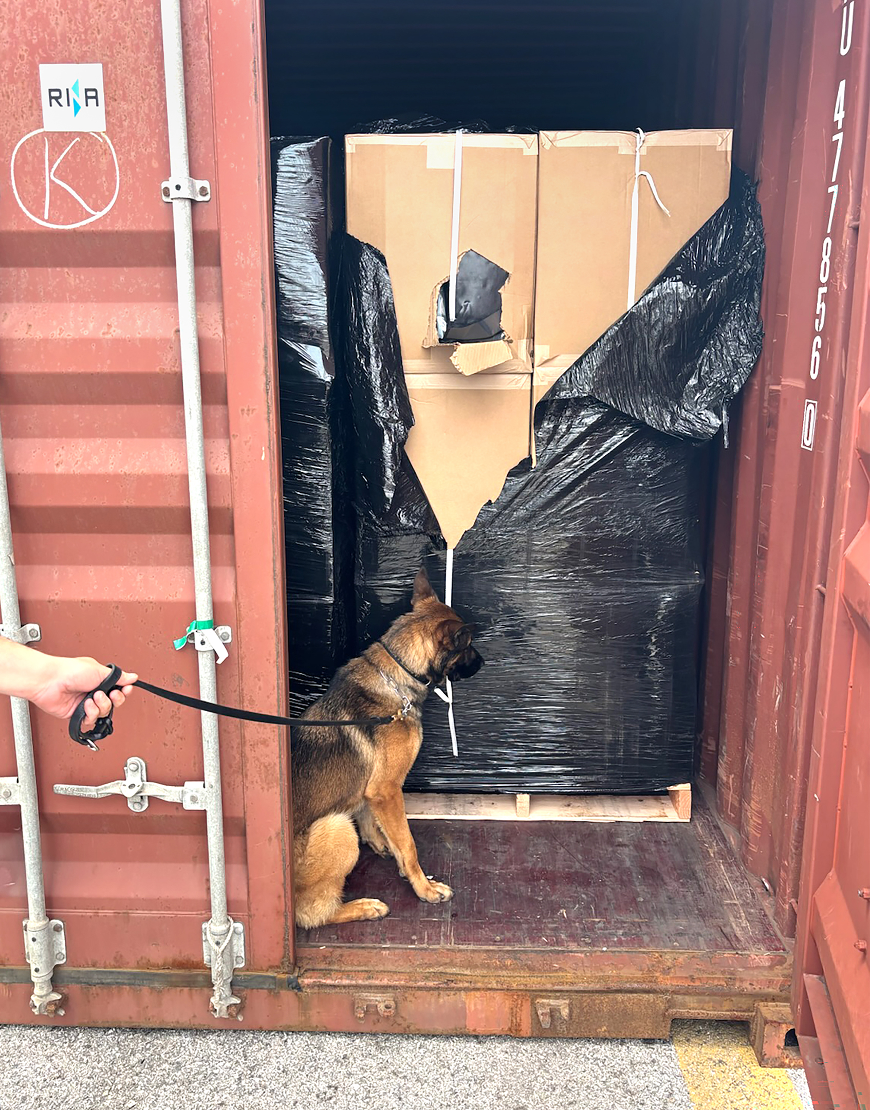 Baltimore Marijuana Seizure