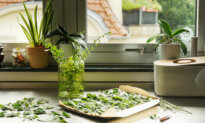 How to Grow Herbs All Summer Long