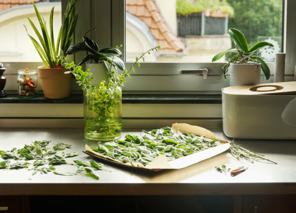 How to Grow Herbs All Summer Long