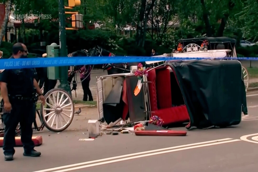 Horse-Drawn Carriage Rides in New York on Hold After Teen Tourist’s Death