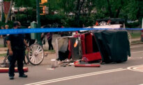 Horse-Drawn Carriage Rides in New York on Hold After Teen Tourist’s Death