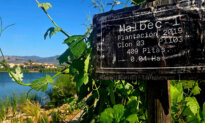 Relax at El Cielo Resort and Winery in Mexico’s Valle de Guadalupe