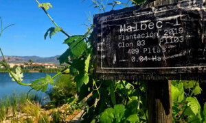 Relax at El Cielo Resort and Winery in Mexico’s Valle de Guadalupe