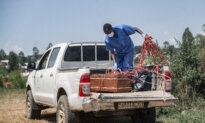 More Than 1,000 Confirmed Ebola Cases in Congo Outbreak, Authorities Say
