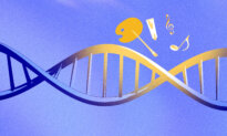 What Seeing and Doing Art Does to Your DNA