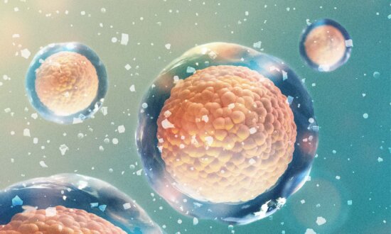 When Your Body Runs Low on Minerals, Everything Suffers