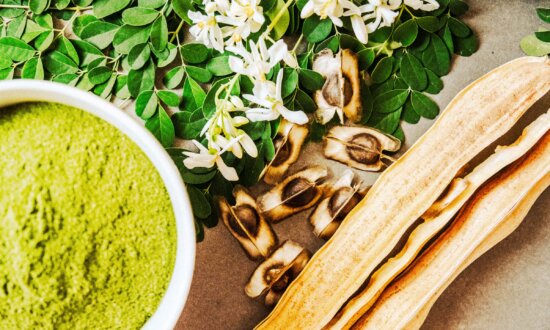 Moringa: An Ancient Superfood for Brain and Immune Health
