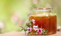 From Dry Eyes to Bleeding Gums: Manuka Honey’s Potential Health Benefits