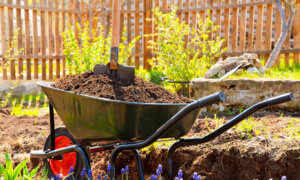 Easy Way to Build a Beautiful Summer Flower Garden