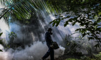 Day in Photos: Anti-Dengue Prevention, Warehouse Collapse, and Artisan Fabric Workshop