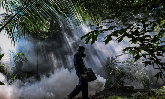 Day in Photos: Anti-Dengue Prevention, Warehouse Collapse, and Artisan Fabric Workshop
