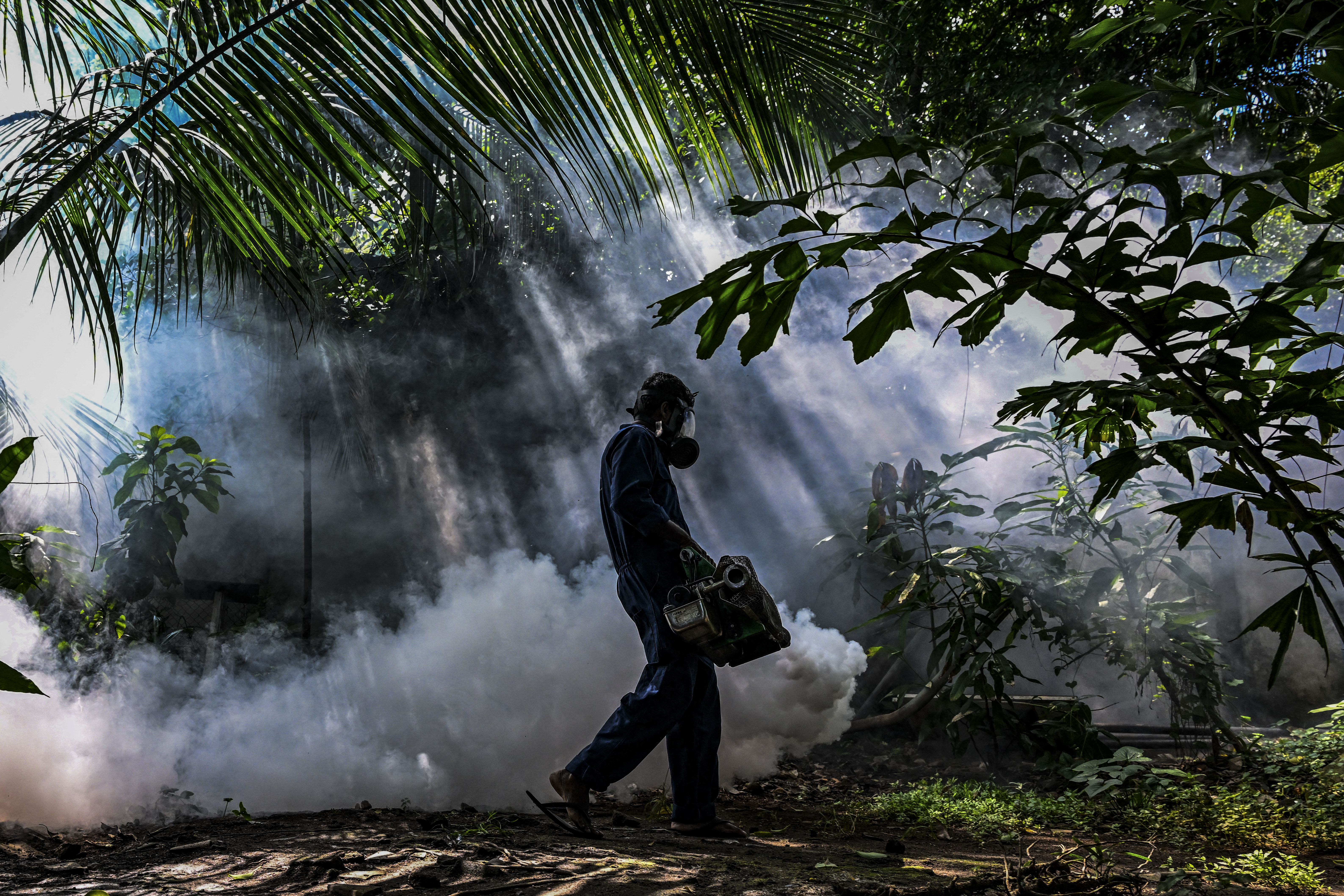 Day in Photos: Anti-Dengue Prevention, Warehouse Collapse, and Artisan Fabric Workshop