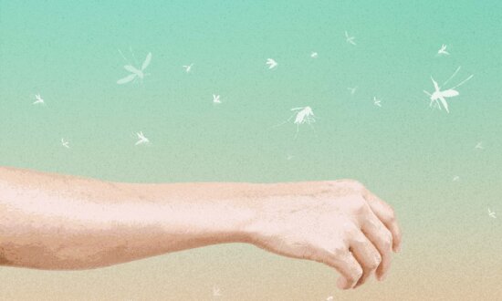 12 Things That May Make You a Mosquito Magnet