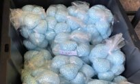 DEA Seeks Independent Review After Claims Agents Allowed Entry of Fentanyl