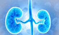 5 New Discoveries About Kidneys Are Changing How Scientists Think