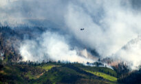 3 Firefighters Die in Colorado–Utah Fire