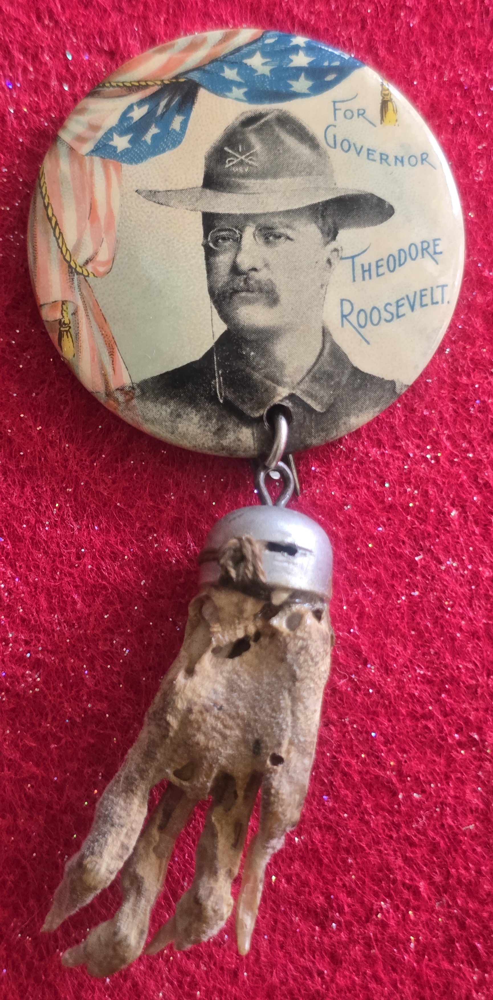 Teddy Roosevelt 