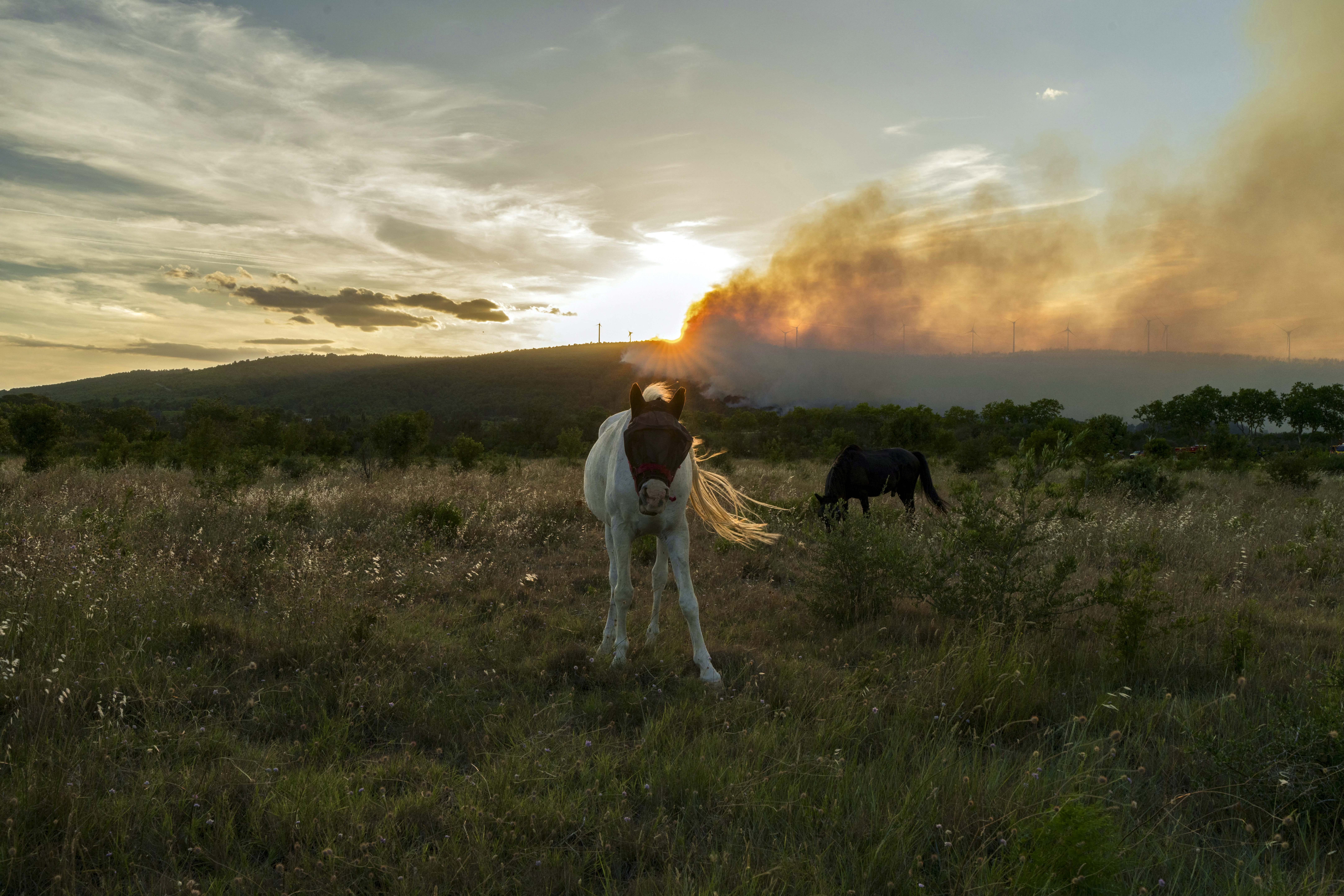 Day in Photos: Wildfire in France, Collapsed Roof in Pakistan, and Independence Day Drummers