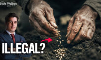Why It’s Illegal for Farmers to Plant Their Own Seeds