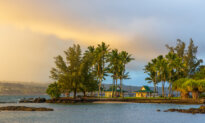 Making Hilo Home: Vacationing on the Big Island of Hawaii