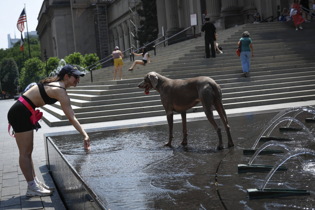 A woman refreshes a dog on a water fountain during a heatwave in New York City, on July 1, 2026. (Kena Betancur/AFP via Getty Images)