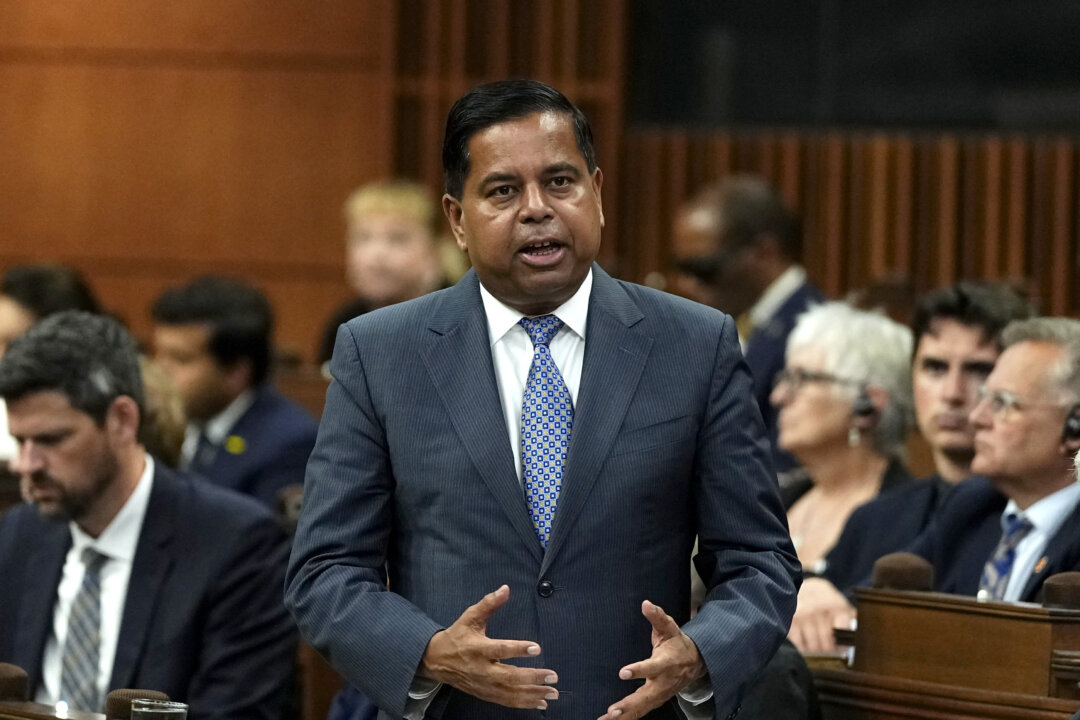 Security Screening Mostly ‘Unimpeachable’ but ‘There Are Gaps’: Anandasangaree