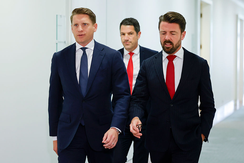 Albanese Backs Liberal MP Hastie Against One Nation for Seat of Canning
