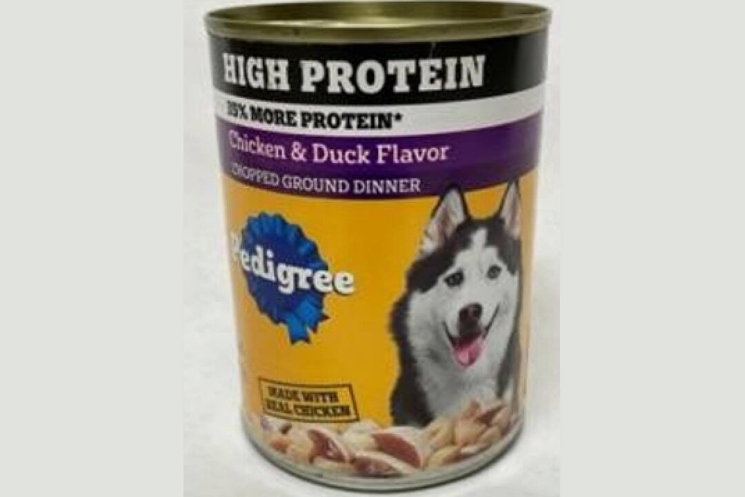 An image of the recalled Pedigree Can High Protein Chopped Chicken & Duck Flavor 13.2oz for dogs. (Courtesy of the FDA)