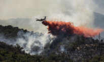 Day in Photos: Massive Wildfire in France, Military Drone Exercise, and Protest in India