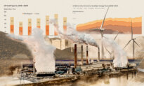 Can American Coal Survive?