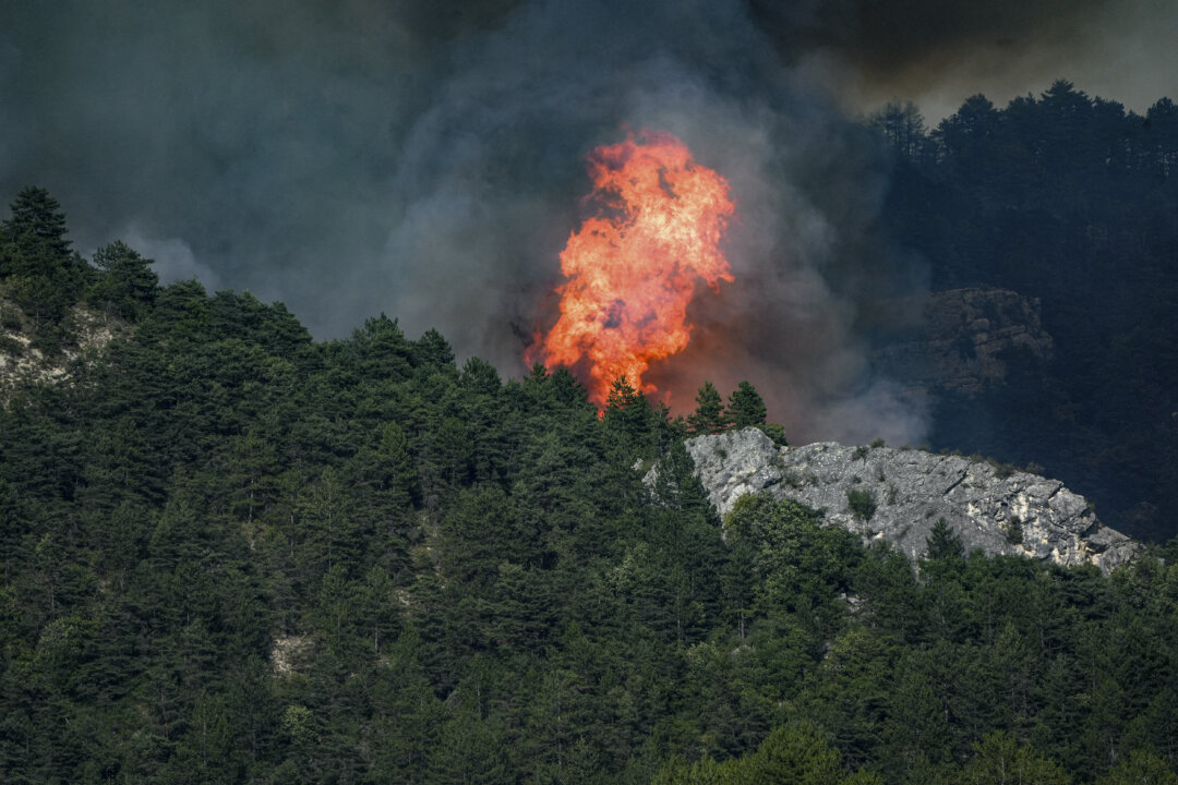 What Awaits the 474 People Arrested So Far Over France’s Summer Fires