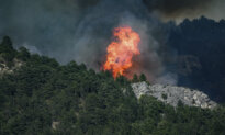 What Awaits the 474 People Arrested So Far Over France’s Summer Fires