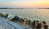 Death Toll From BC Fishing Charter Sinking Rises as Woman Dies in Hospital
