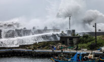 Day in Photos: Typhoon in Taiwan, Wildfire in Spain, Honduran Presidential Airplane Auctioned Off