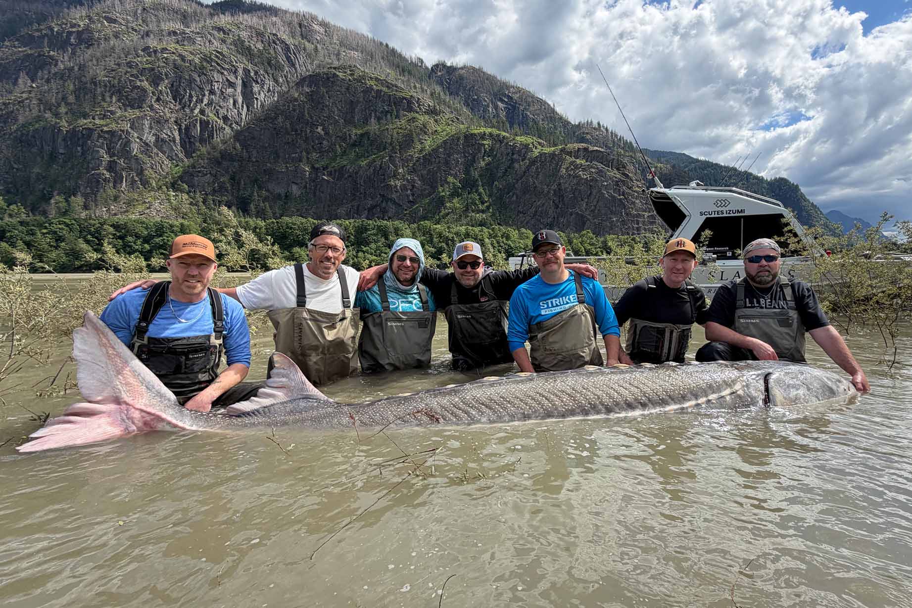 ‘Historic Moment’: Fraser River Anglers Reel in Record-Breaking Sturgeon Nearly 12 Feet Long