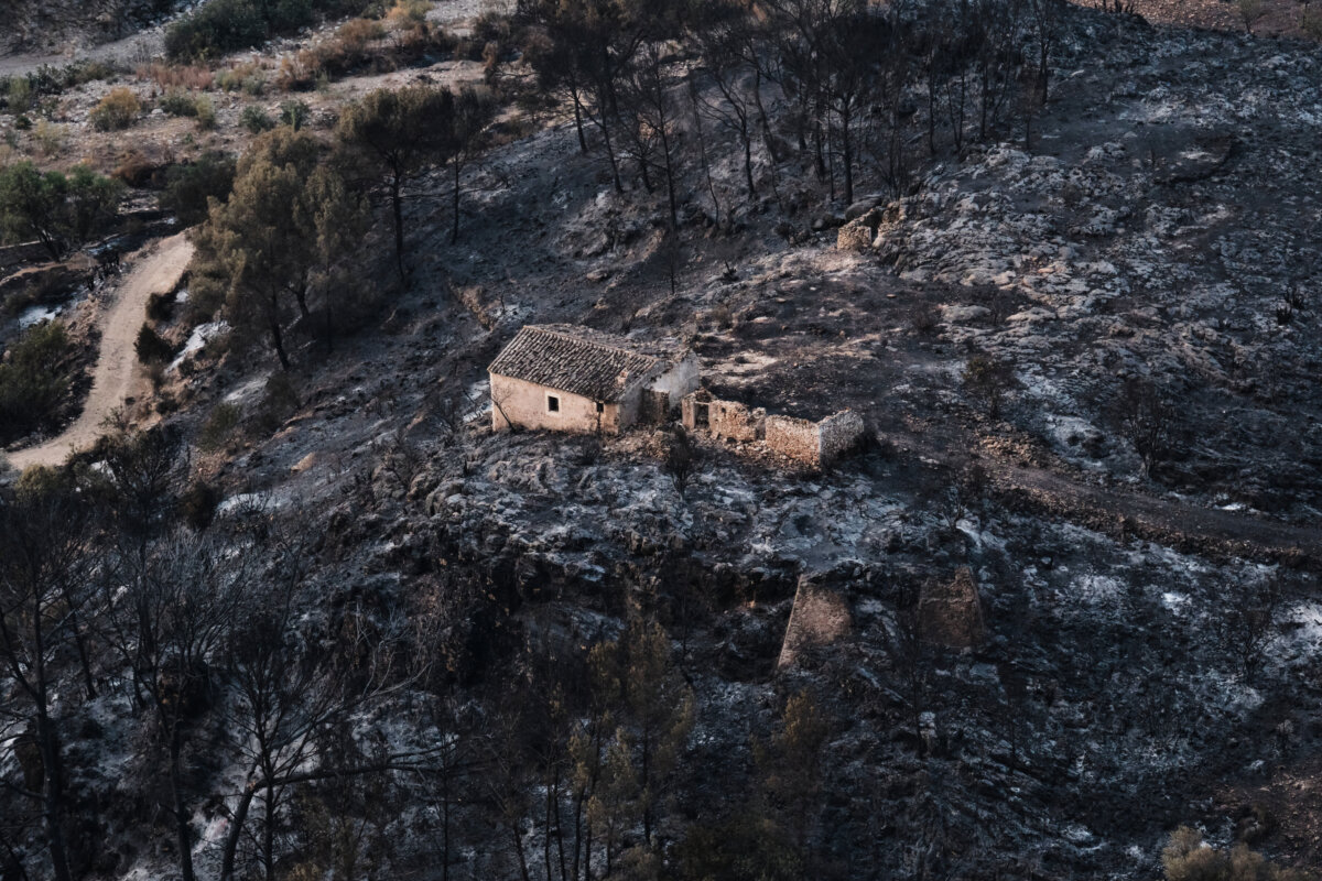 A burnt area affected by wildfires in Bedar, near Almeria, Spain, on July 11, 2026. (Gregorio Marrero/AP Photo)