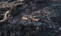 Hundreds of Firefighters Battle Wildfire in Southern Spain That Killed at Least 12