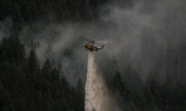 Visitor Fought BC Wildfire With Frying Pan. but It Became an Inferno
