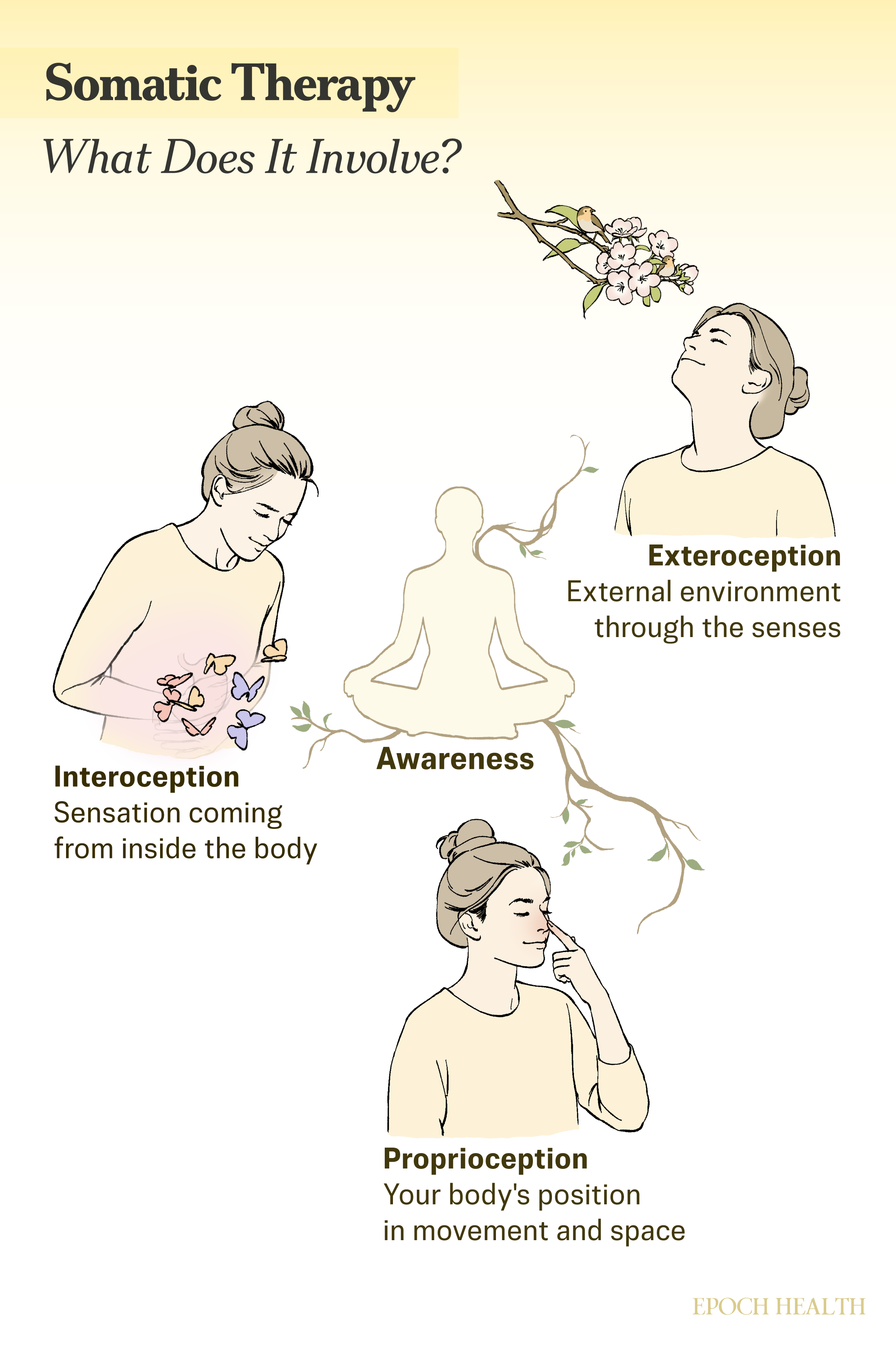 Somatic Therapy infographic
