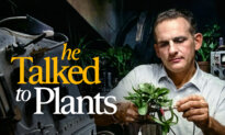 Do Plants Have Minds?
