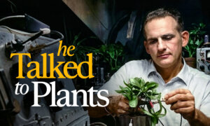 Do Plants Have Minds?