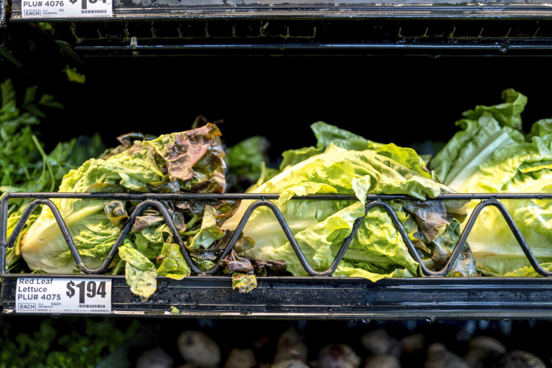 Lettuce in a store in a file photograph. (Brandon Bell/Getty Images)