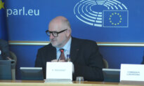 EU Trade Chief Raises Prospect of Safeguards Against Chinese Industrial Import Surges