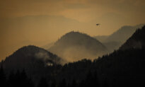 BC Issues Water Warning Amid Drought Conditions and Record-Low Stream Flows