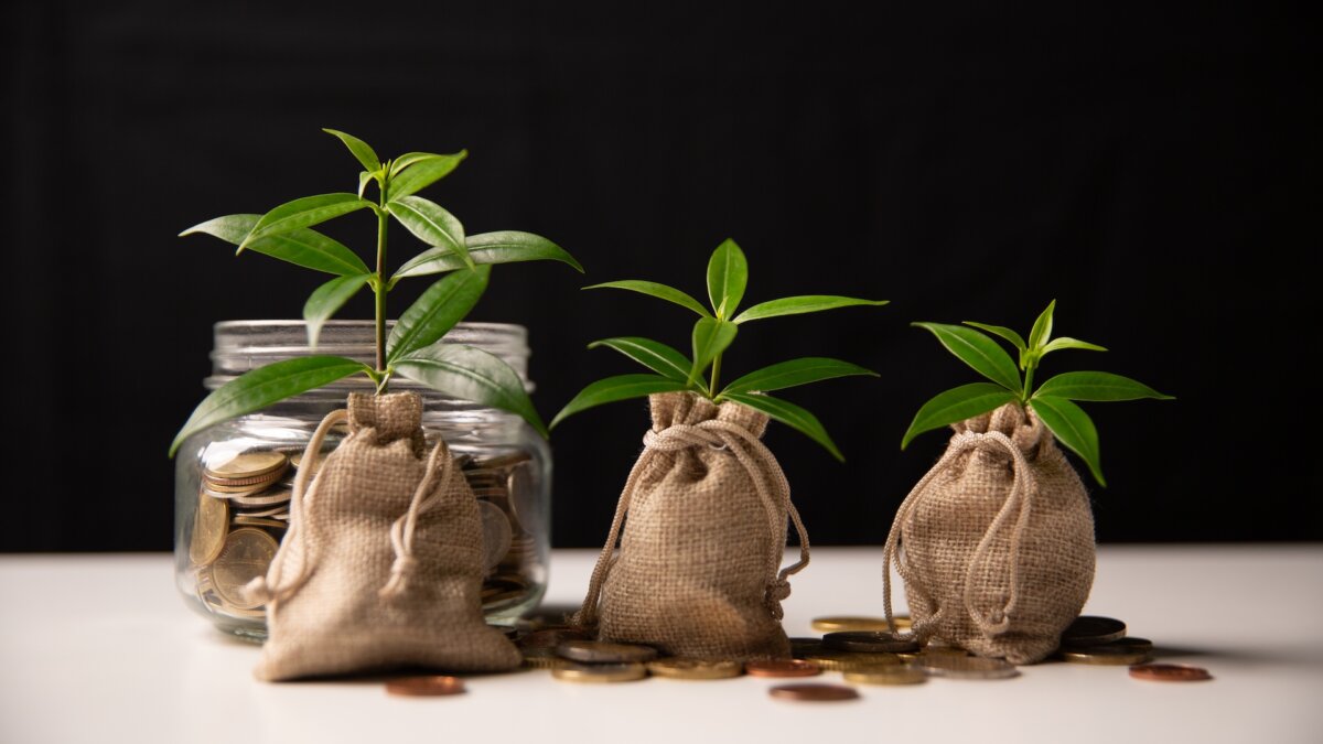 If money is spread around, it can help things grow. (jd8/Shutterstock)