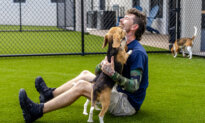 Beagles Rescued From Research-Lab Pipeline Get 2nd Chance in Loving Homes