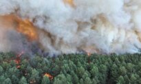 Fire in Forest of French Kings: The Battle to Save Fontainebleau