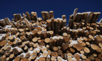 Saskatchewan Sawmill Curtailing Operations, 117 Employees Affected